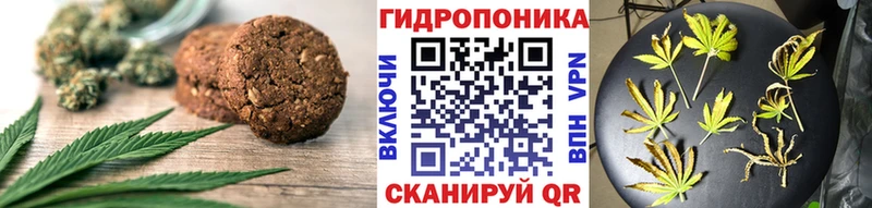 где купить наркотик  Сунжа  Cannafood марихуана 