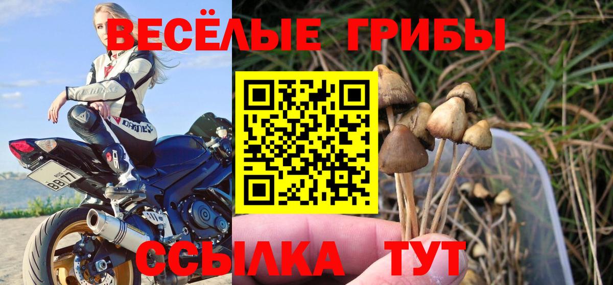 Сунжа  Галлюциногенные грибы мухоморы  Вход с VPN 