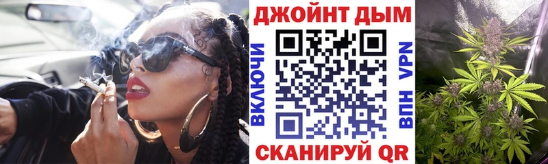 как найти   Сунжа  Каннабис сатива 